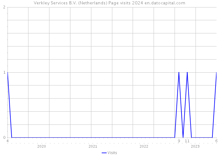 Verkley Services B.V. (Netherlands) Page visits 2024 