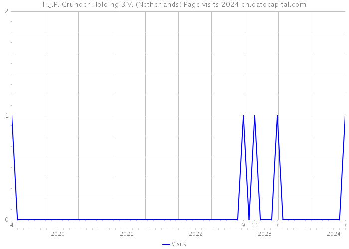 H.J.P. Grunder Holding B.V. (Netherlands) Page visits 2024 
