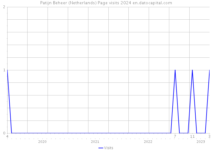 Patijn Beheer (Netherlands) Page visits 2024 
