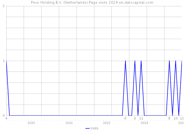 Pevo Holding B.V. (Netherlands) Page visits 2024 