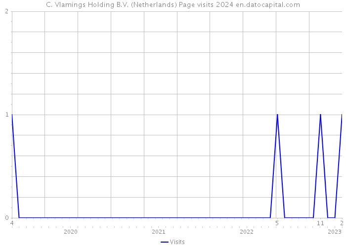C. Vlamings Holding B.V. (Netherlands) Page visits 2024 