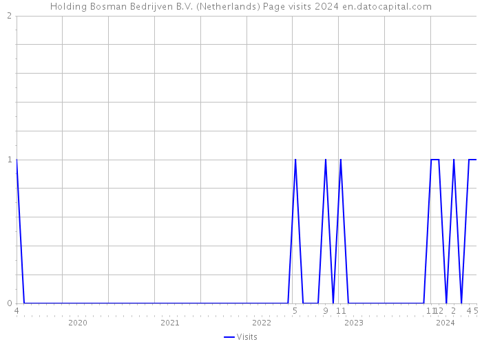 Holding Bosman Bedrijven B.V. (Netherlands) Page visits 2024 