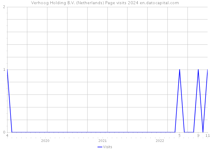 Verhoog Holding B.V. (Netherlands) Page visits 2024 