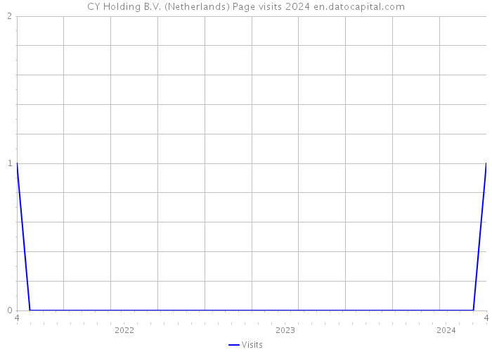 CY Holding B.V. (Netherlands) Page visits 2024 