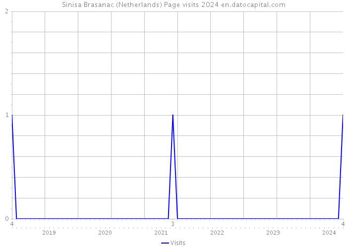 Sinisa Brasanac (Netherlands) Page visits 2024 