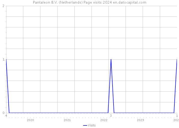 Pantaleon B.V. (Netherlands) Page visits 2024 