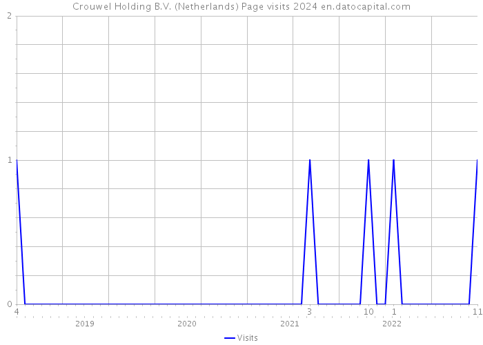 Crouwel Holding B.V. (Netherlands) Page visits 2024 