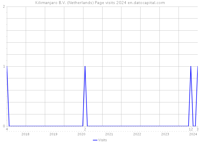 Kilimanjaro B.V. (Netherlands) Page visits 2024 