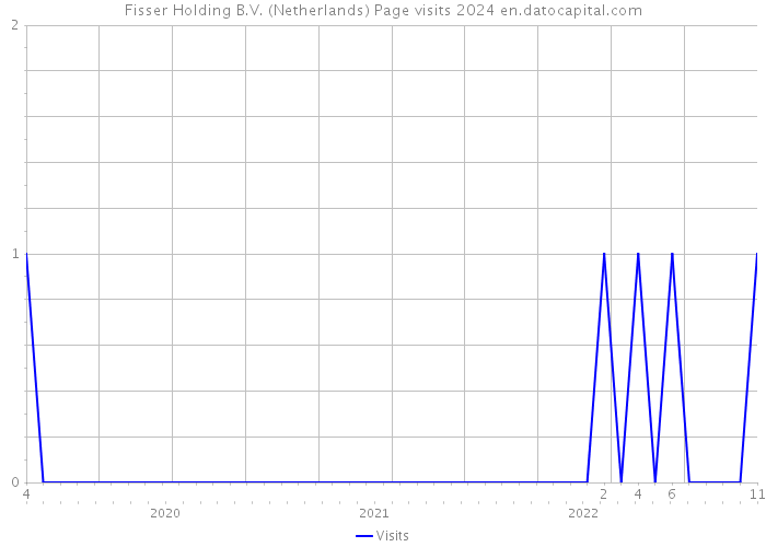 Fisser Holding B.V. (Netherlands) Page visits 2024 