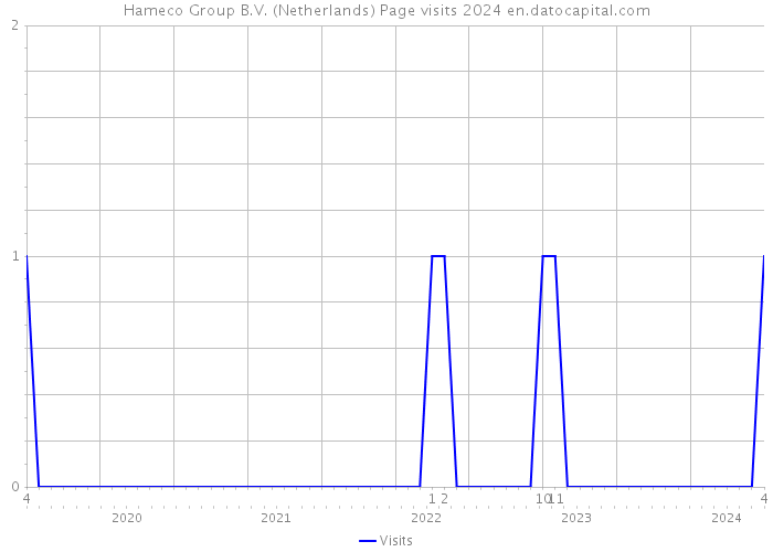 Hameco Group B.V. (Netherlands) Page visits 2024 