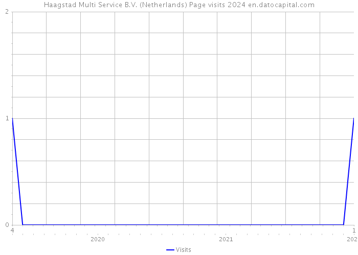 Haagstad Multi Service B.V. (Netherlands) Page visits 2024 