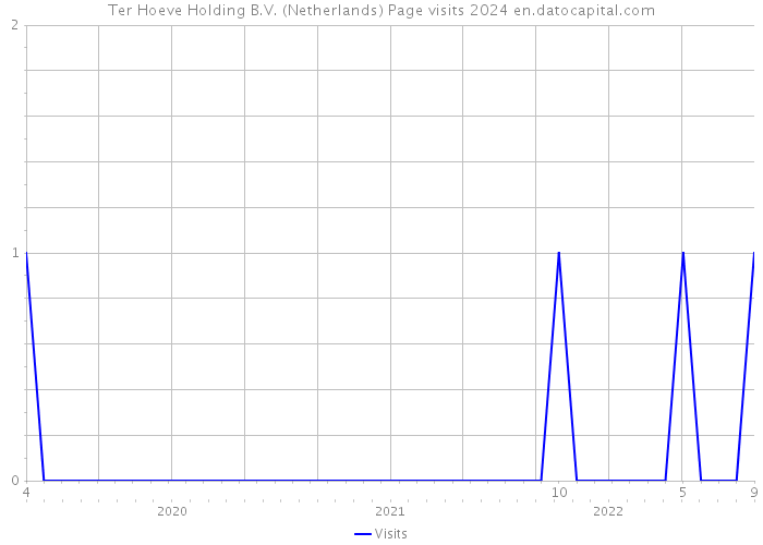 Ter Hoeve Holding B.V. (Netherlands) Page visits 2024 