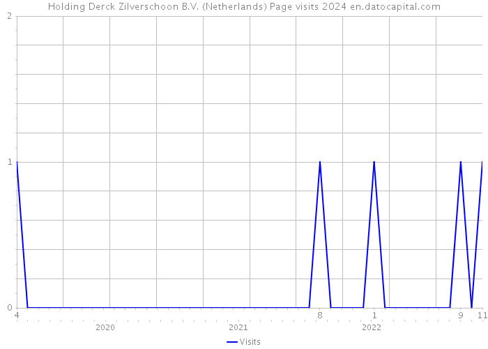 Holding Derck Zilverschoon B.V. (Netherlands) Page visits 2024 