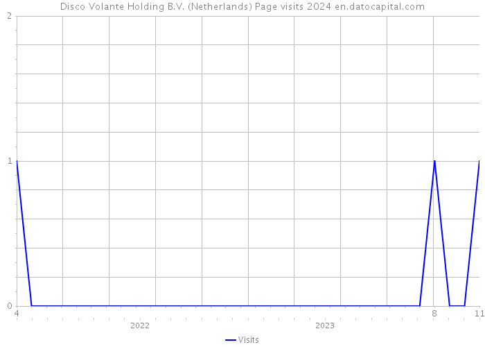 Disco Volante Holding B.V. (Netherlands) Page visits 2024 