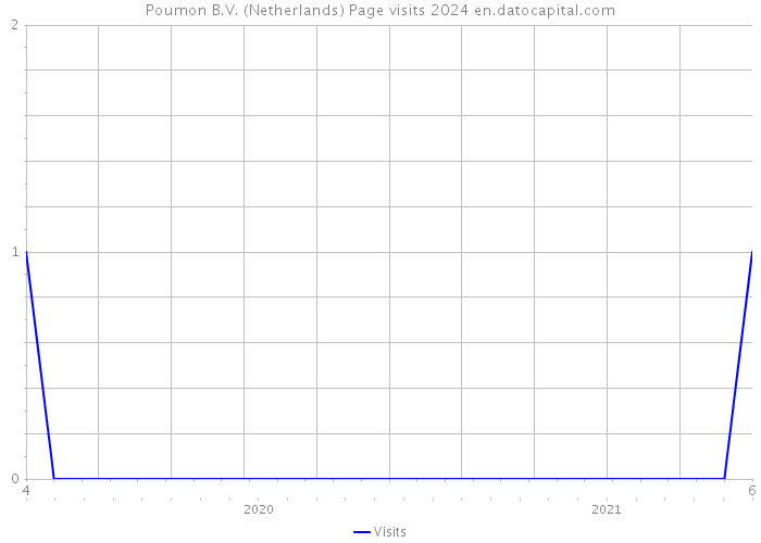 Poumon B.V. (Netherlands) Page visits 2024 