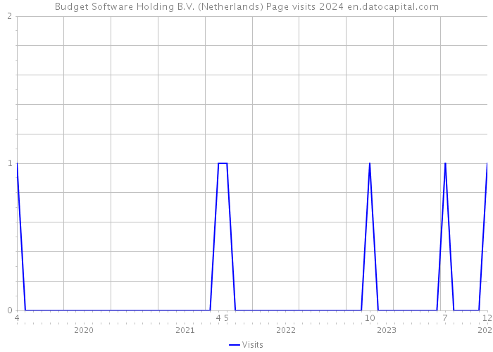 Budget Software Holding B.V. (Netherlands) Page visits 2024 