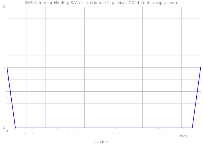 BWS Veltenaar Holding B.V. (Netherlands) Page visits 2024 