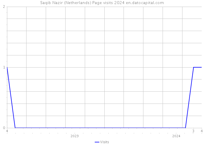 Saqib Nazir (Netherlands) Page visits 2024 