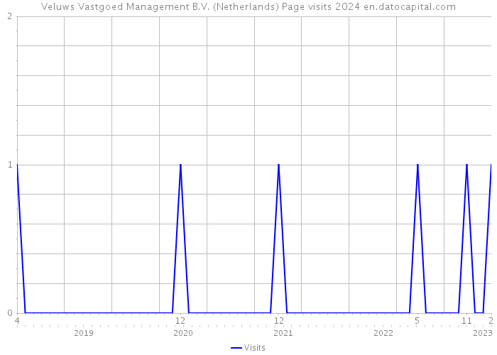 Veluws Vastgoed Management B.V. (Netherlands) Page visits 2024 
