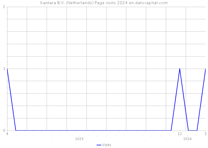 Kantara B.V. (Netherlands) Page visits 2024 