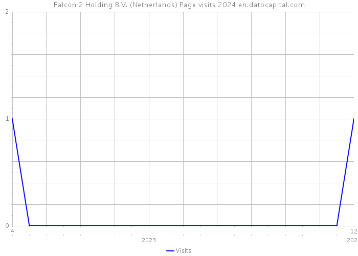 Falcon 2 Holding B.V. (Netherlands) Page visits 2024 