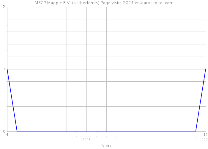 MSCP Magpie B.V. (Netherlands) Page visits 2024 