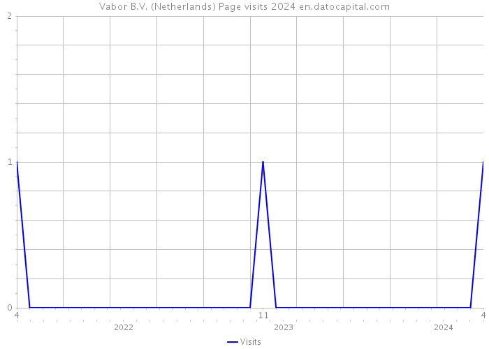 Vabor B.V. (Netherlands) Page visits 2024 