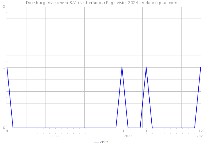Doesburg Investment B.V. (Netherlands) Page visits 2024 