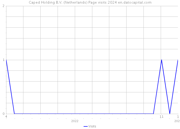 Caped Holding B.V. (Netherlands) Page visits 2024 