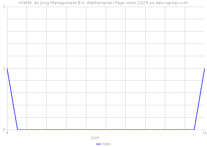 H.W.M. de Jong Management B.V. (Netherlands) Page visits 2024 