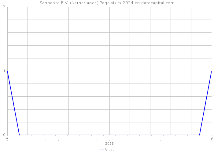 Sennapro B.V. (Netherlands) Page visits 2024 