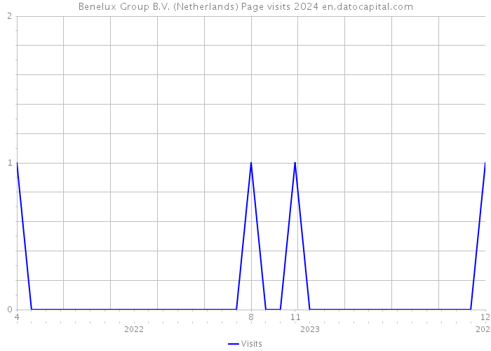 Benelux Group B.V. (Netherlands) Page visits 2024 
