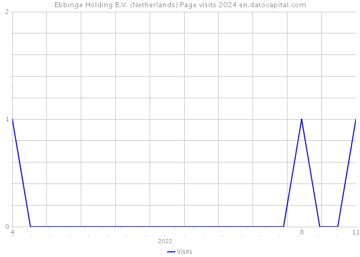 Ebbinge Holding B.V. (Netherlands) Page visits 2024 