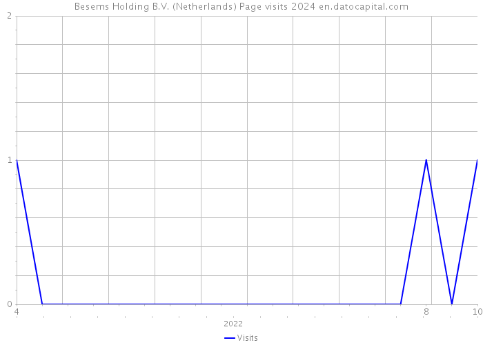 Besems Holding B.V. (Netherlands) Page visits 2024 