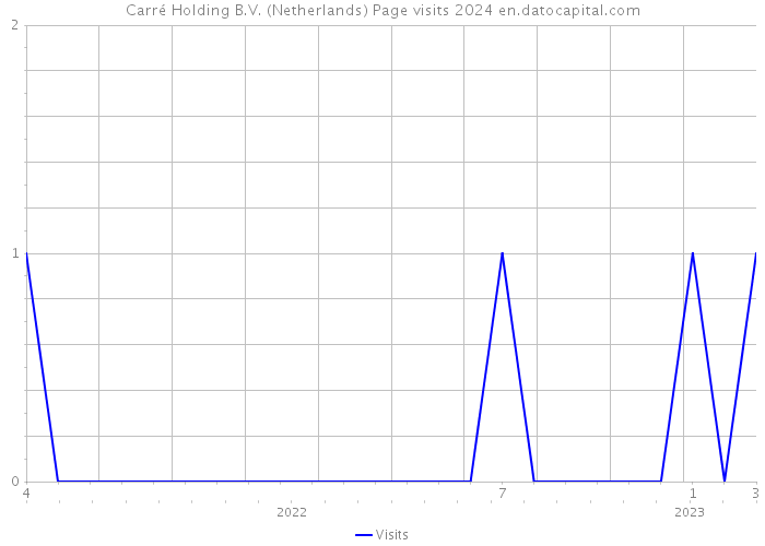 Carré Holding B.V. (Netherlands) Page visits 2024 