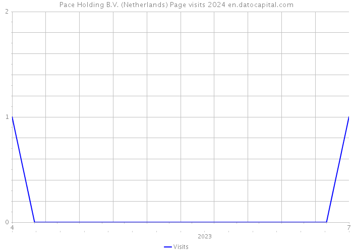 Pace Holding B.V. (Netherlands) Page visits 2024 