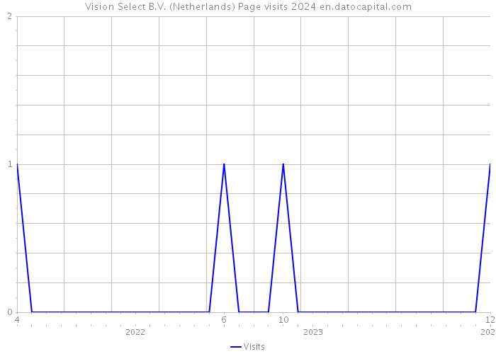 Vision Select B.V. (Netherlands) Page visits 2024 
