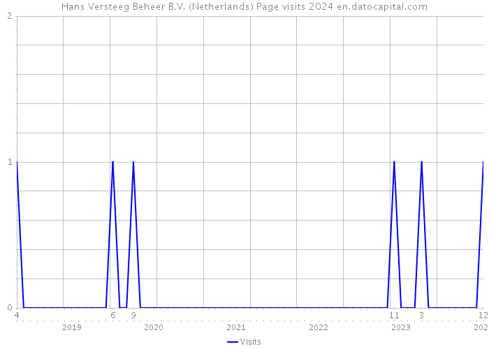 Hans Versteeg Beheer B.V. (Netherlands) Page visits 2024 