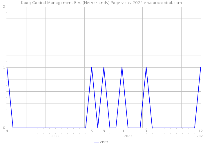 Kaag Capital Management B.V. (Netherlands) Page visits 2024 