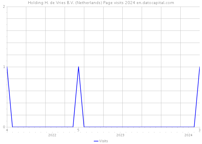 Holding H. de Vries B.V. (Netherlands) Page visits 2024 