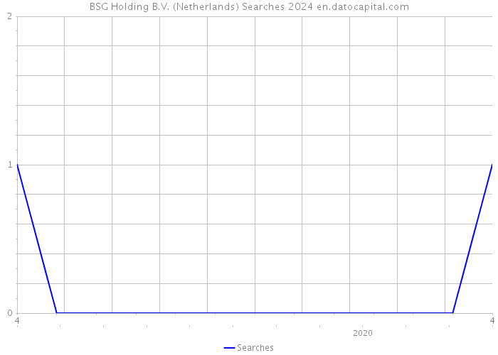 BSG Holding B.V. (Netherlands) Searches 2024 