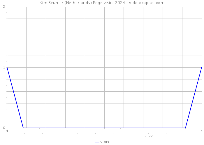 Kim Beumer (Netherlands) Page visits 2024 