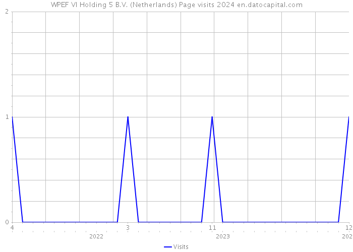 WPEF VI Holding 5 B.V. (Netherlands) Page visits 2024 