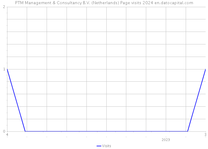 PTM Management & Consultancy B.V. (Netherlands) Page visits 2024 