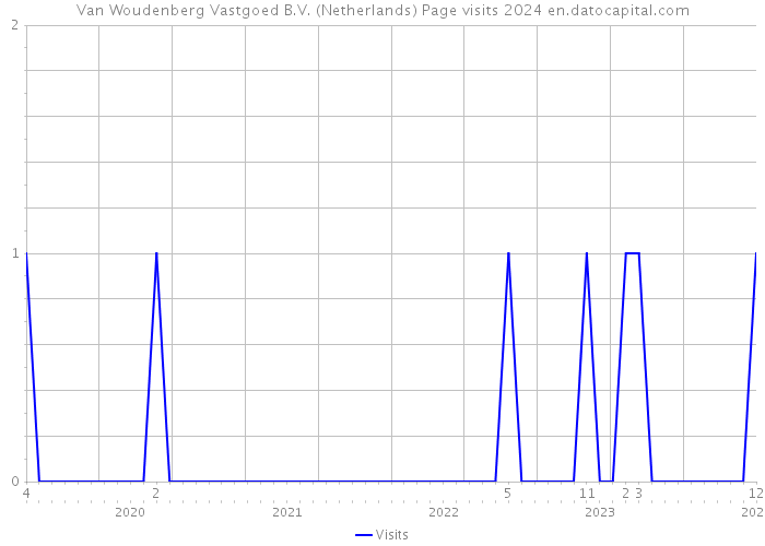 Van Woudenberg Vastgoed B.V. (Netherlands) Page visits 2024 