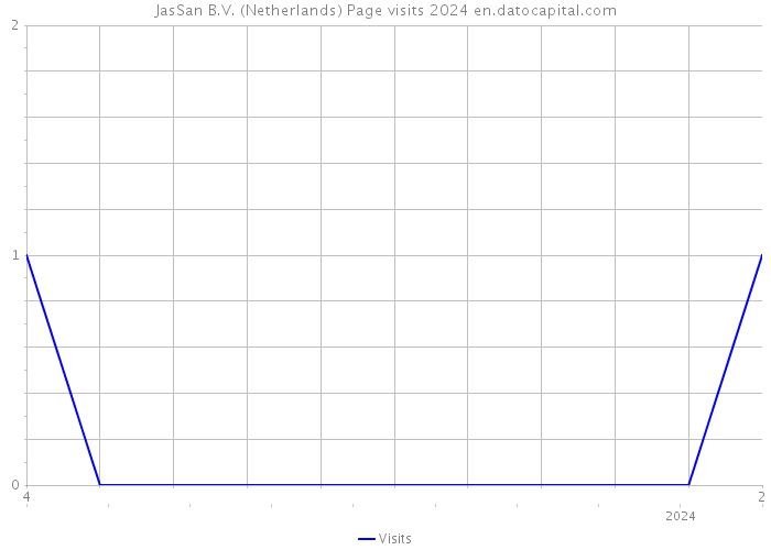 JasSan B.V. (Netherlands) Page visits 2024 
