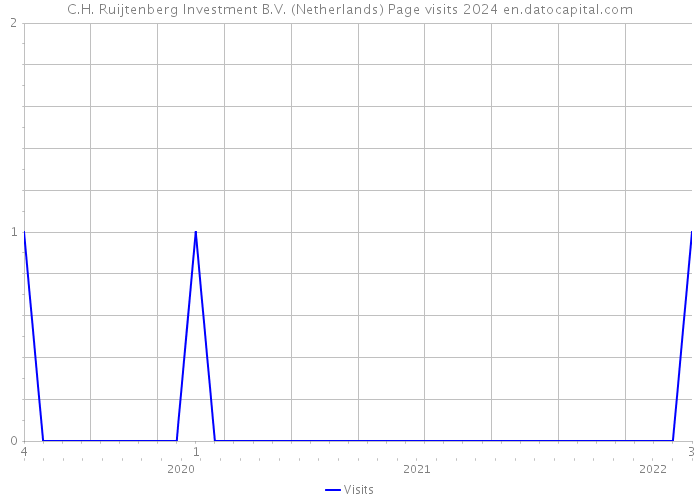 C.H. Ruijtenberg Investment B.V. (Netherlands) Page visits 2024 