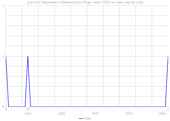 Joachim Hagemann (Netherlands) Page visits 2024 