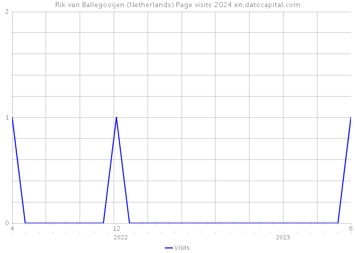 Rik van Ballegooijen (Netherlands) Page visits 2024 
