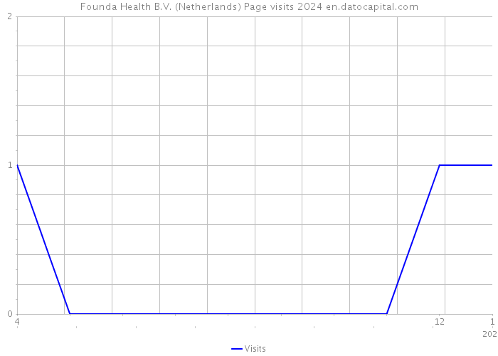 Founda Health B.V. (Netherlands) Page visits 2024 